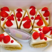 新着情報の画像